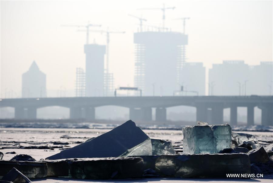 CHINA-HARBIN-ICE CUBE (CN)