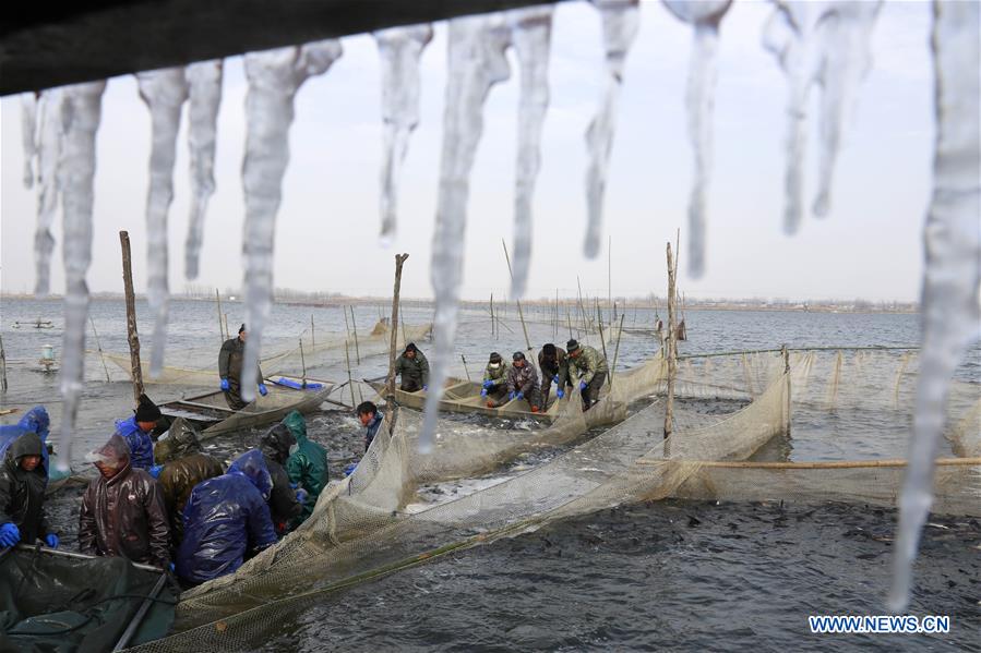 #CHINA-JIANGSU-XUYI-FISHING (CN)