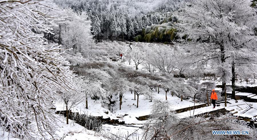 #CHINA-RIME-SCENERY (CN)