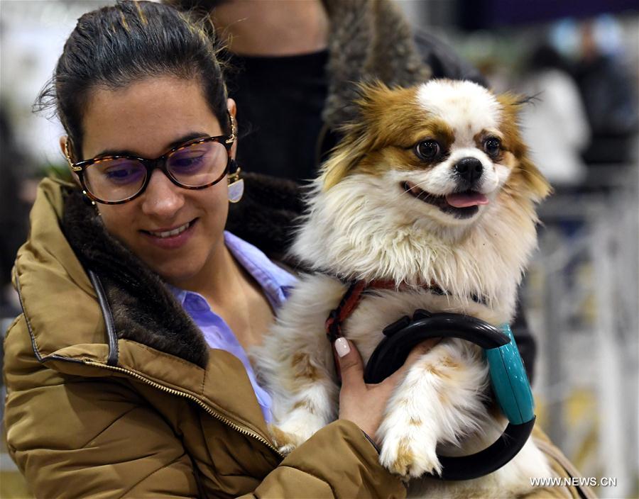 PORTUGAL-LISBON-PET SHOW