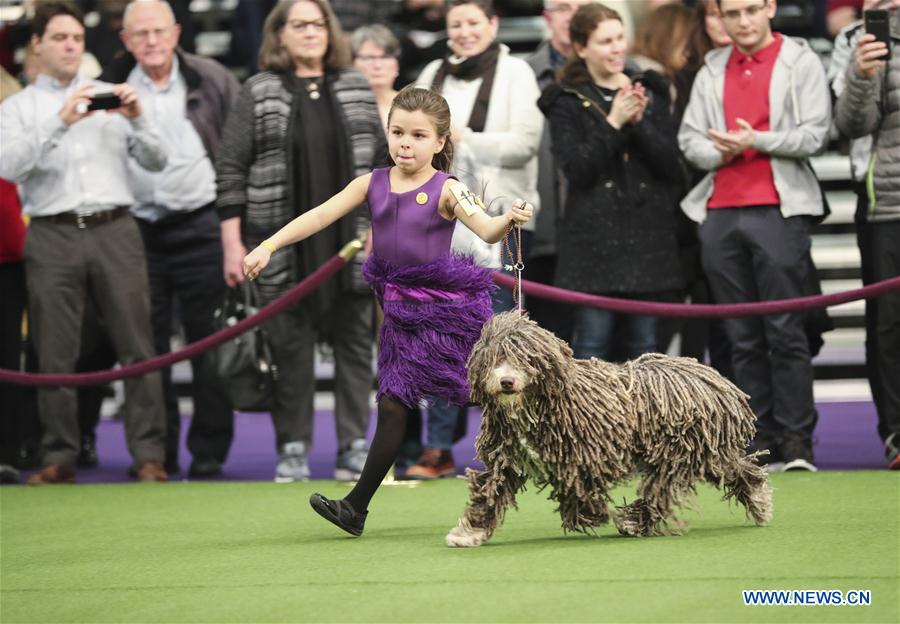 U.S.-NEW YORK-DOG SHOW