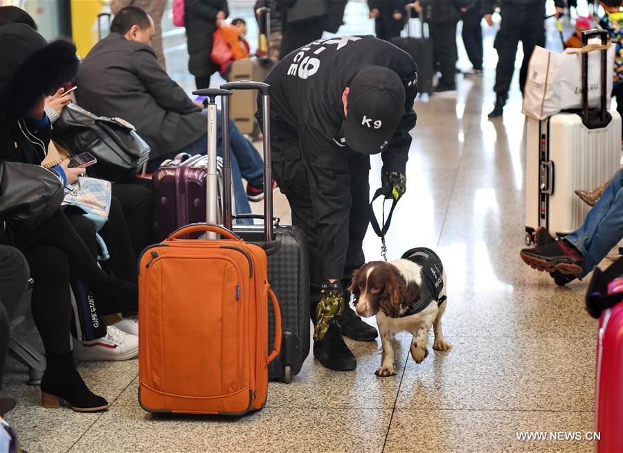 CHINA-SHIJIAZHUANG-POLICE DOG(CN)