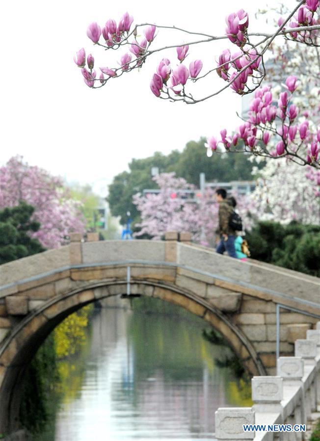 #CHINA-SPRING-SCENERY (CN)