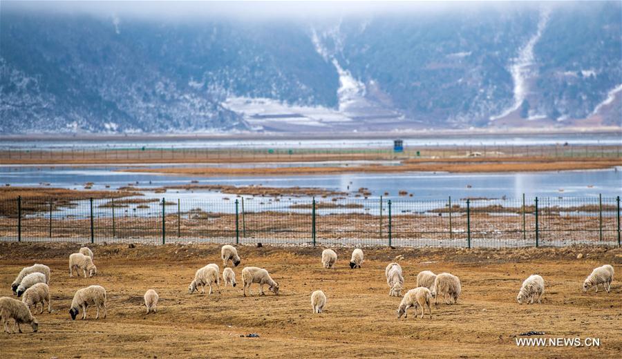 CHINA-YUNNAN-DIQING-SCENERY (CN)