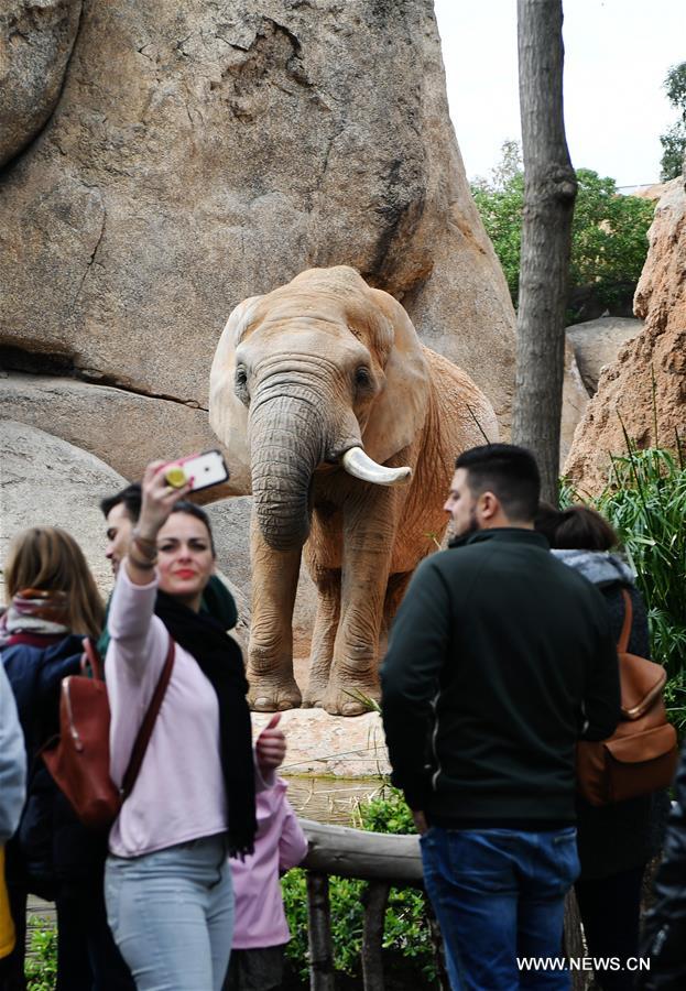 SPAIN-VALENCIA-BIOPARC ZOO