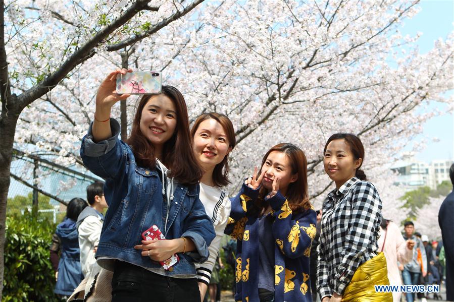 CHINA-SHANGHAI-CAMPUS-CHERRY BLOSSOMS (CN)