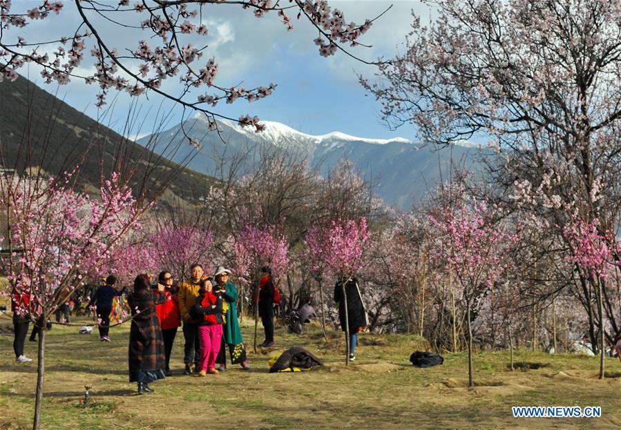 CHINA-TIBET-NYINGCHI-SCENERY(CN)