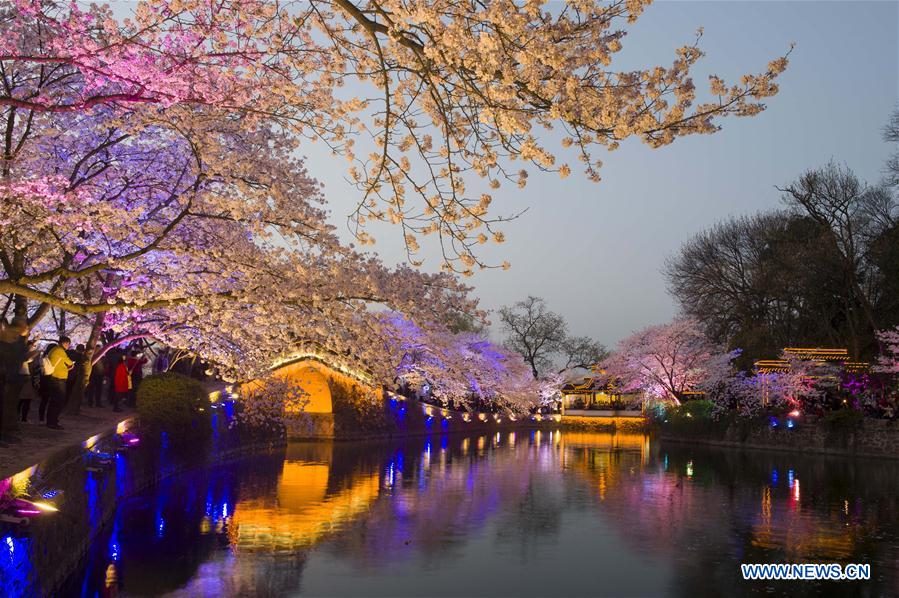 #CHINA-SPRING-FLOWERS(CN)