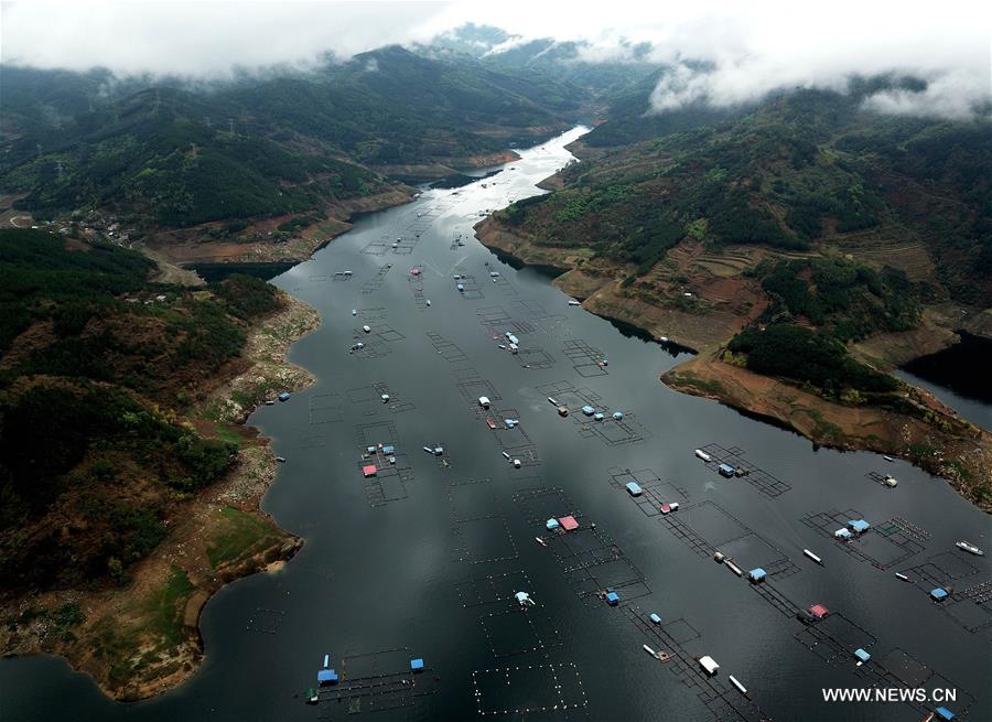 CHINA-GUANGXI-LANDSCAPE-FISHERY (CN)