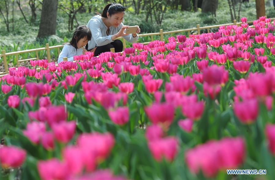 #CHINA-SPRING-SCENERY (CN)