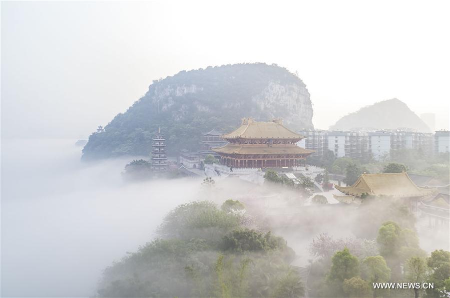 #CHINA-GUANGXI-ADVECTION FOG (CN)