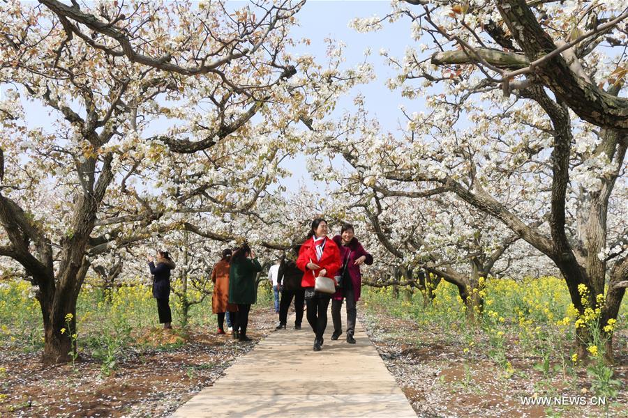 #CHINA-QINGMING FESTIVAL-TOURISM (CN)