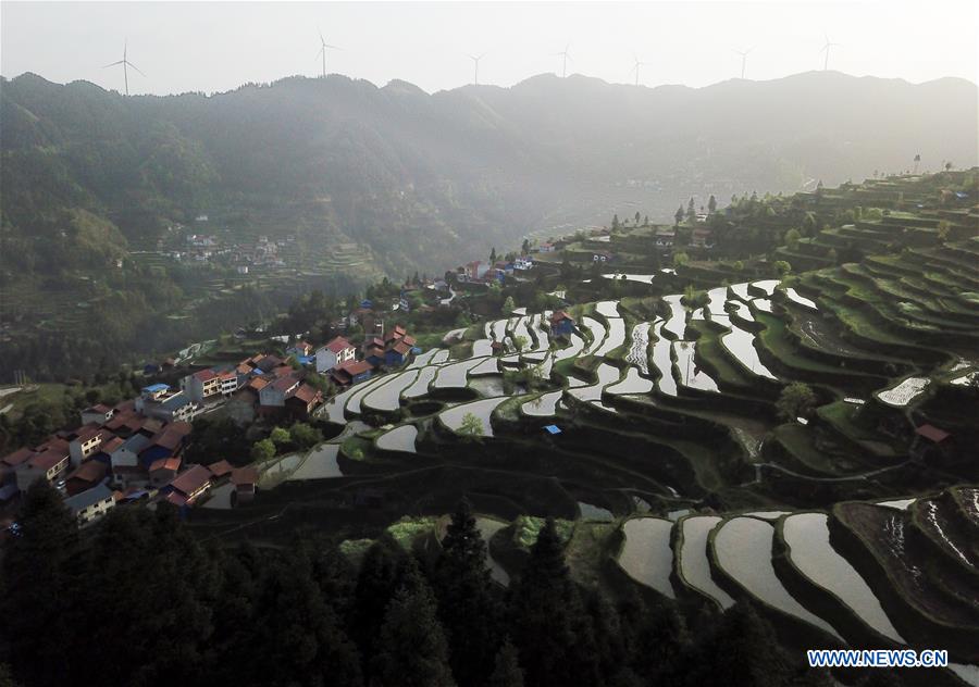 #CHINA-GUIZHOU-FARM WORK (CN)