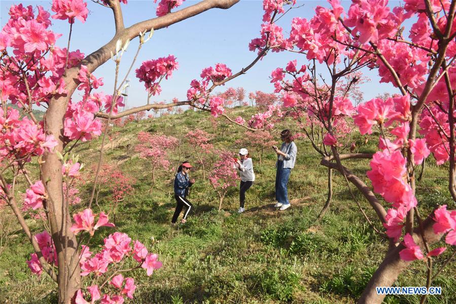 #CHINA-SPRING VIEWS (CN)