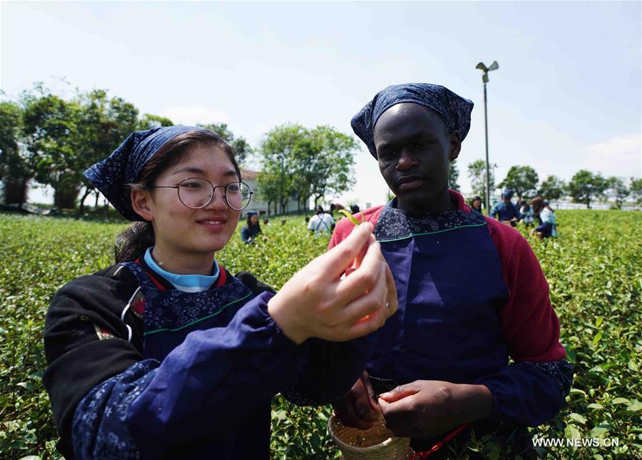 CHINA-JIANGSU-FOREIGN STUDENT-TEA GARDEN(CN)