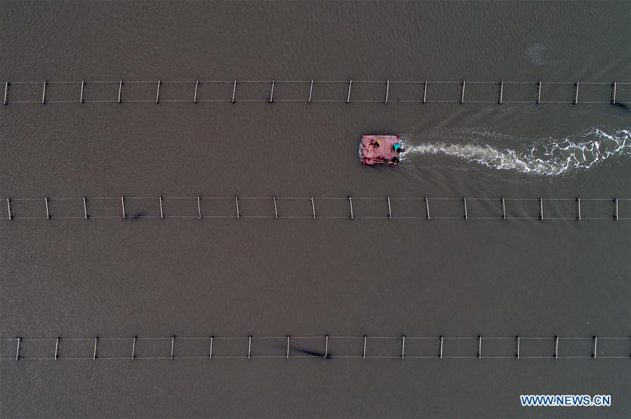 CHINA-HEBEI-MARICULTURE FARM (CN)