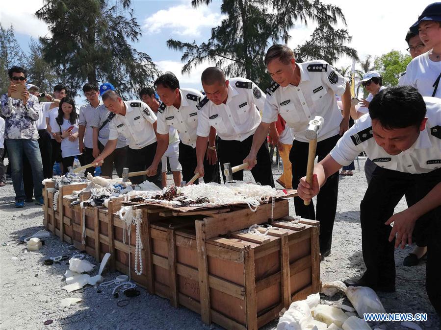 CHINA-SEA TURTLE-PROTECTION ALLIANCE-FOUNDING(CN)