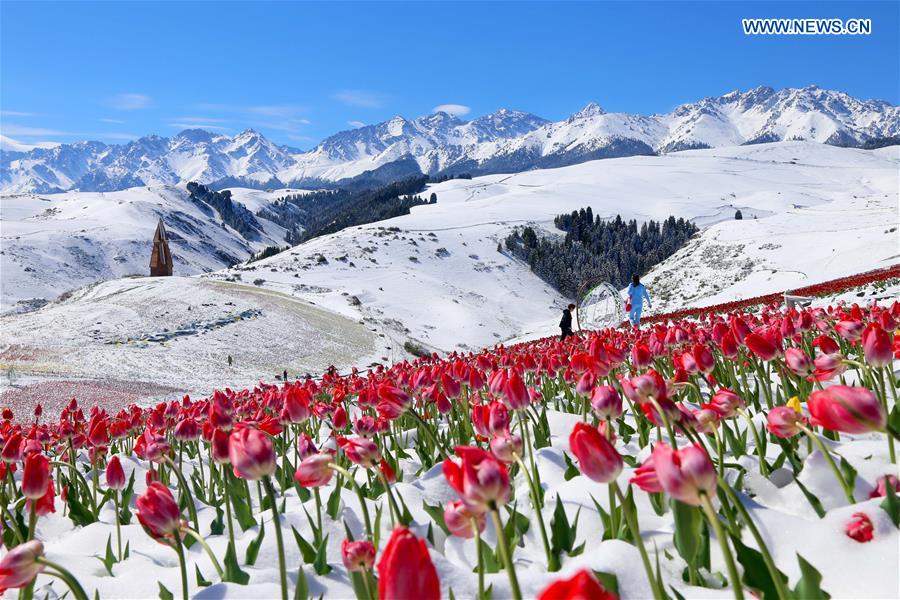 XINHUA PHOTO WEEKLY CHOICES