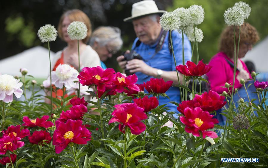 CANADA-OSHAWA-PEONY FESTIVAL