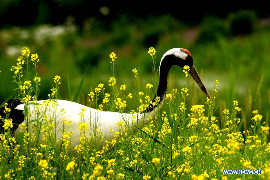 XINHUA PHOTO WEEKLY CHOICES