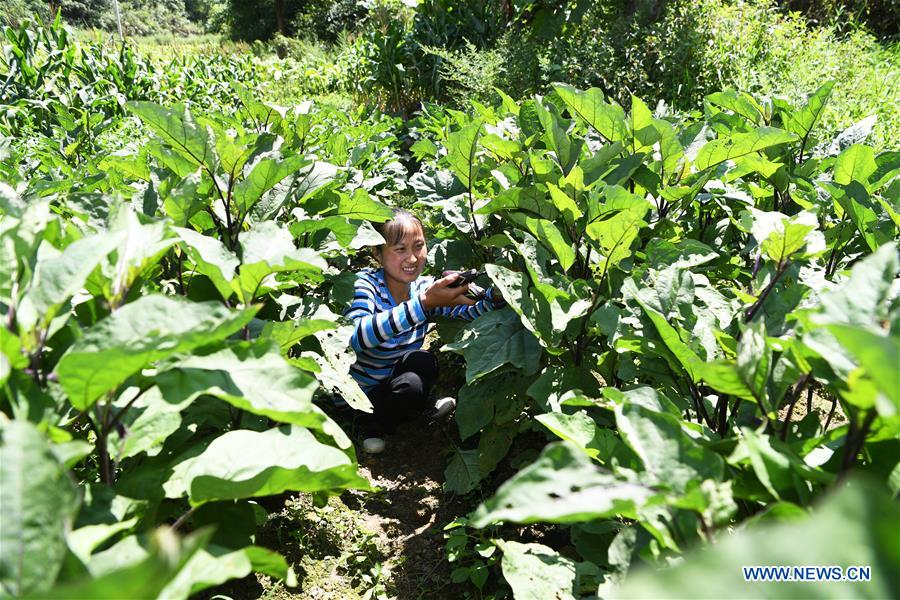 CHINA-CHONGQING-DISABLED FEMALE FARMER (CN)