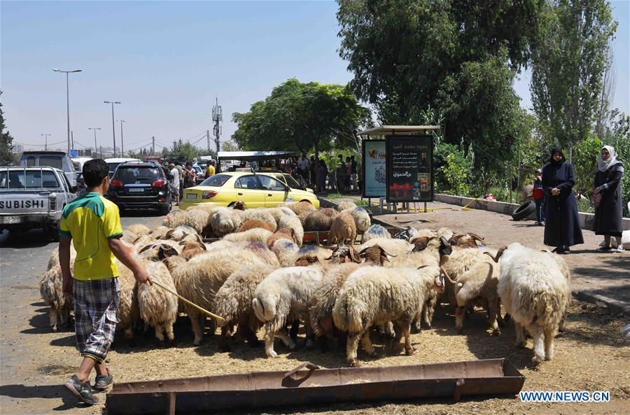 SYRIA-DAMASCUS-EID AL-ADHA-LIVESTOCK MARKET