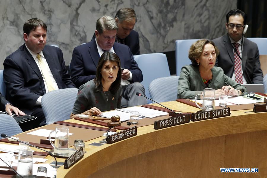 UN-SECURITY COUNCIL-SYRIA