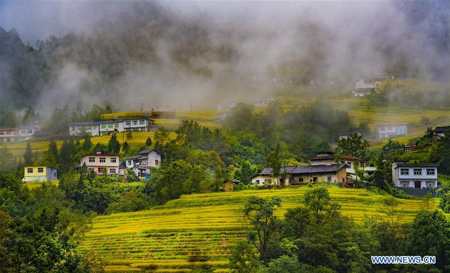 CHINA-SHAANXI-TERRACED FIELDS (CE)