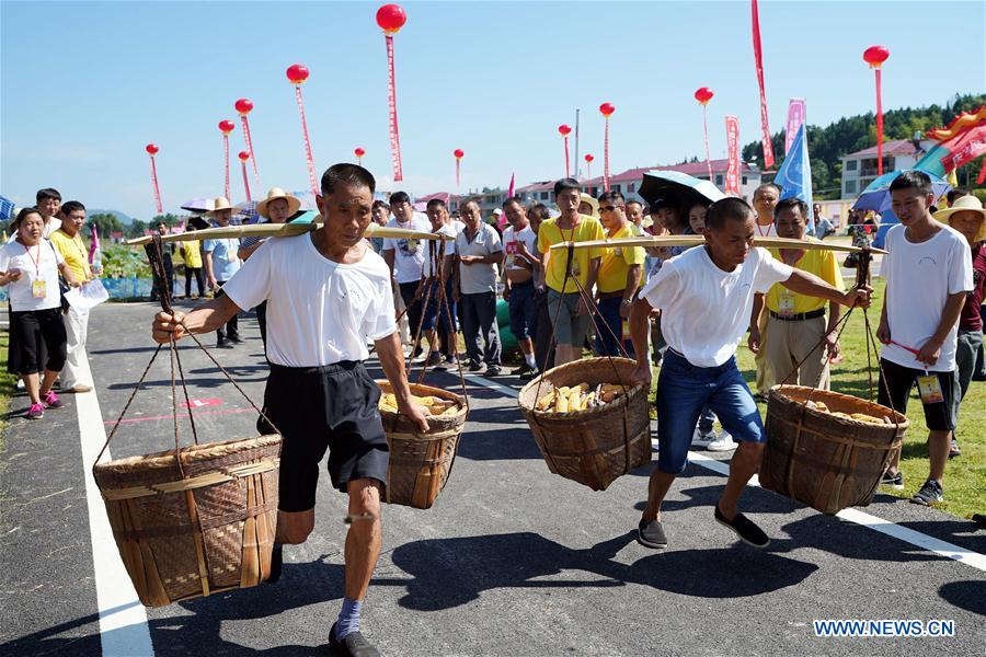 CHINA-JIANGXI-NANFENG-HARVEST (CN)