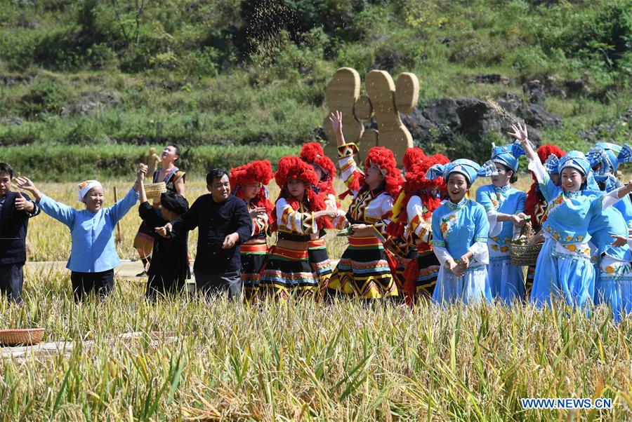 CHINA-YUNNAN-HARVEST-PERFORMANCE (CN)