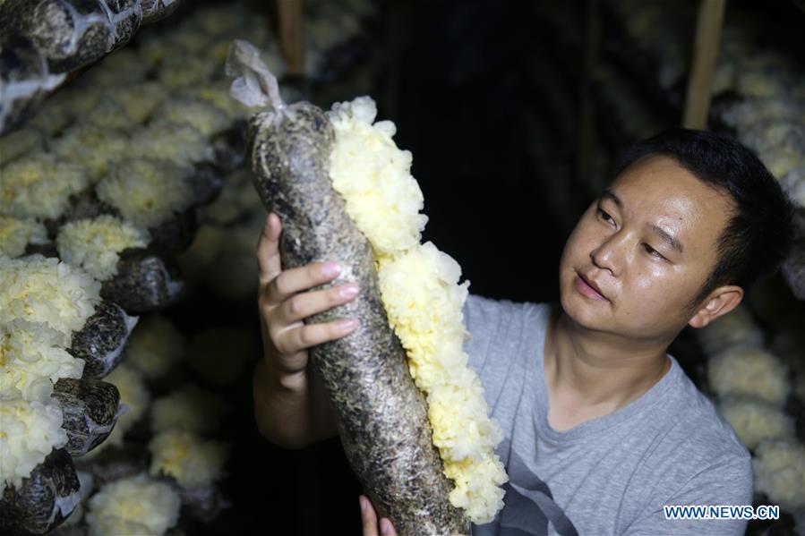 #CHINA-CHONGQING-ENTREPRENEURIAL STORY(CN)