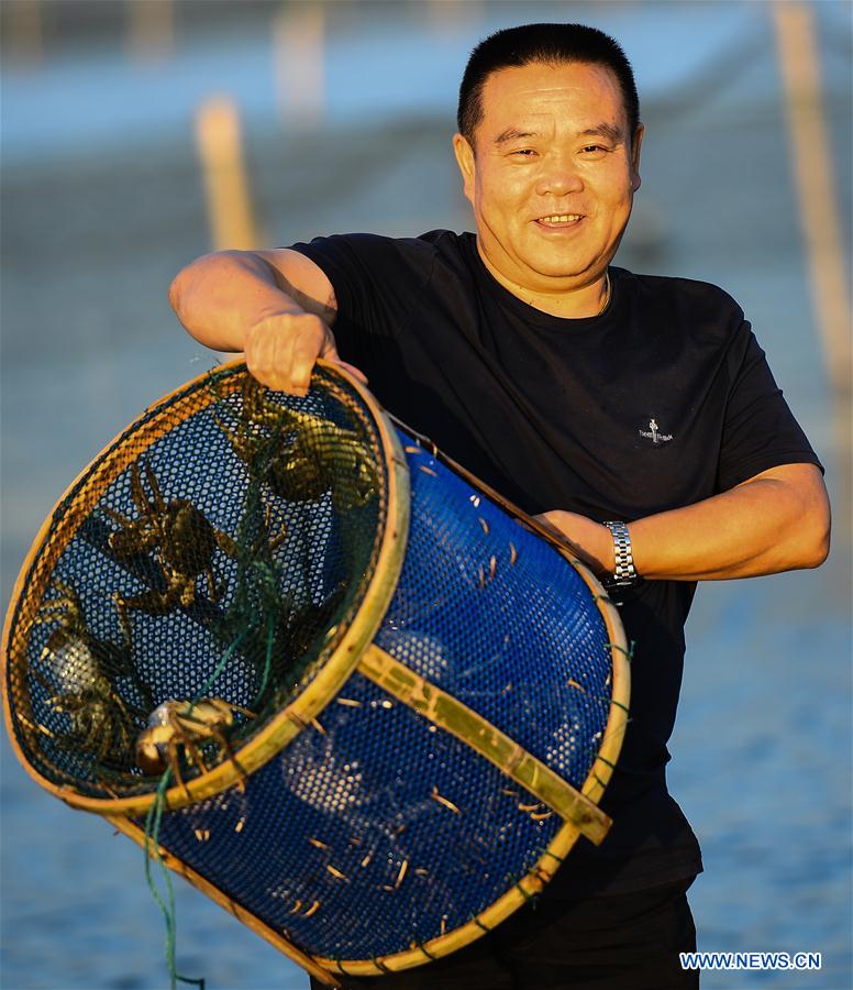 CHINA-JIANGSU-KUNSHAN-HAIRY CRAB CULTIVATOR (CN)