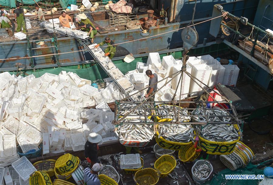 CHINA-FUJIAN-SHISHI-FISHING (CN)