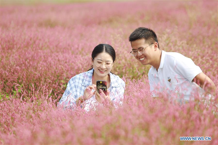 #CHINA-JIANGSU-HUAI'AN-FLOWER-TOURISM (CN)