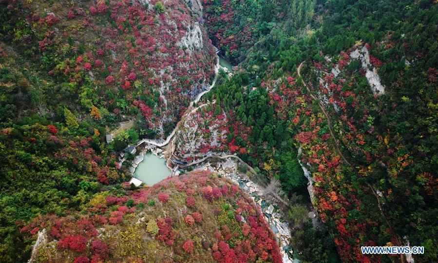 CHINA-GANSU-LONGNAN-AUTUMN-SCENERY (CN)