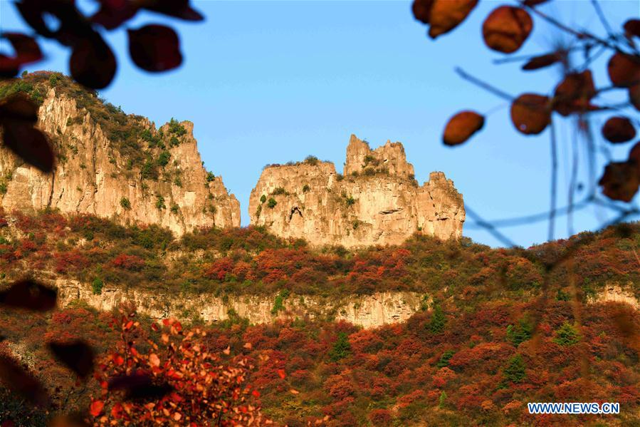 #CHINA-HEBEI-PINGSHAN-AUTUMN SCENERY (CN)