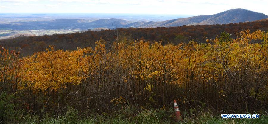 U.S.-VIRGINIA-SHENANDOAH NATIONAL PARK-AUTUMN VIEWS