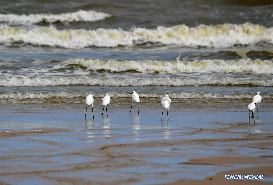 CHINA-FUJIAN-JINJIANG-BAY SCENERY (CN)