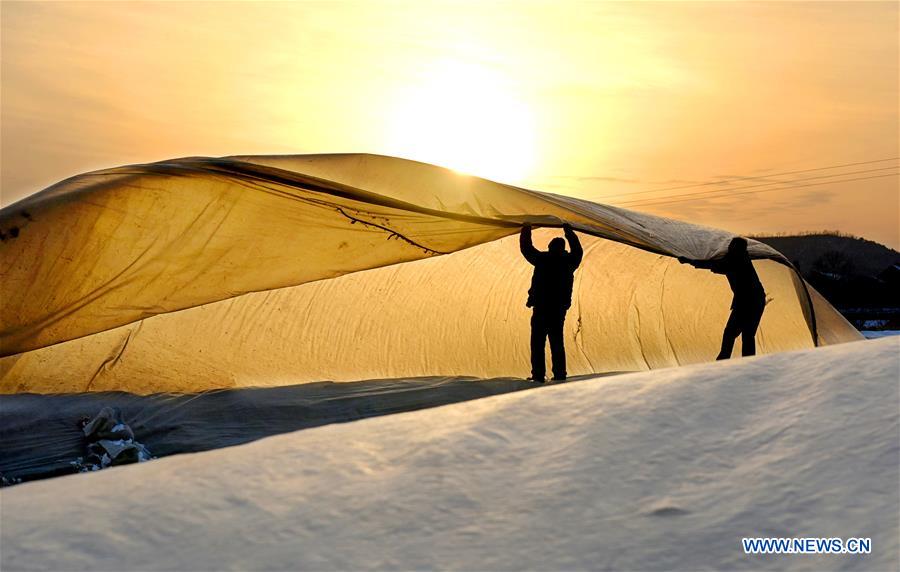 #CHINA-WINTER-ARGRICULTURE-GREENHOUSE (CN)