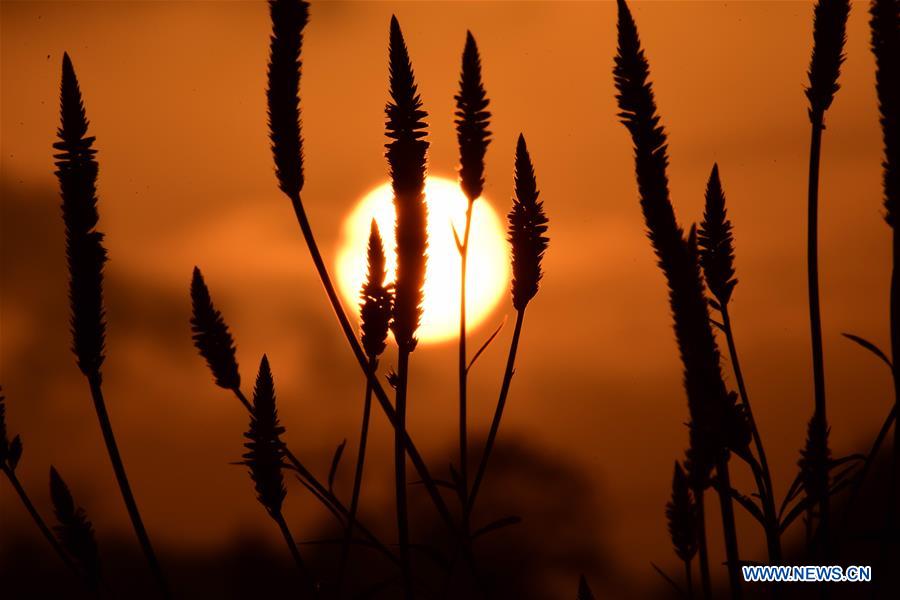 #CHINA-HAINAN-QIONGHAI-EVENING GLOW (CN)