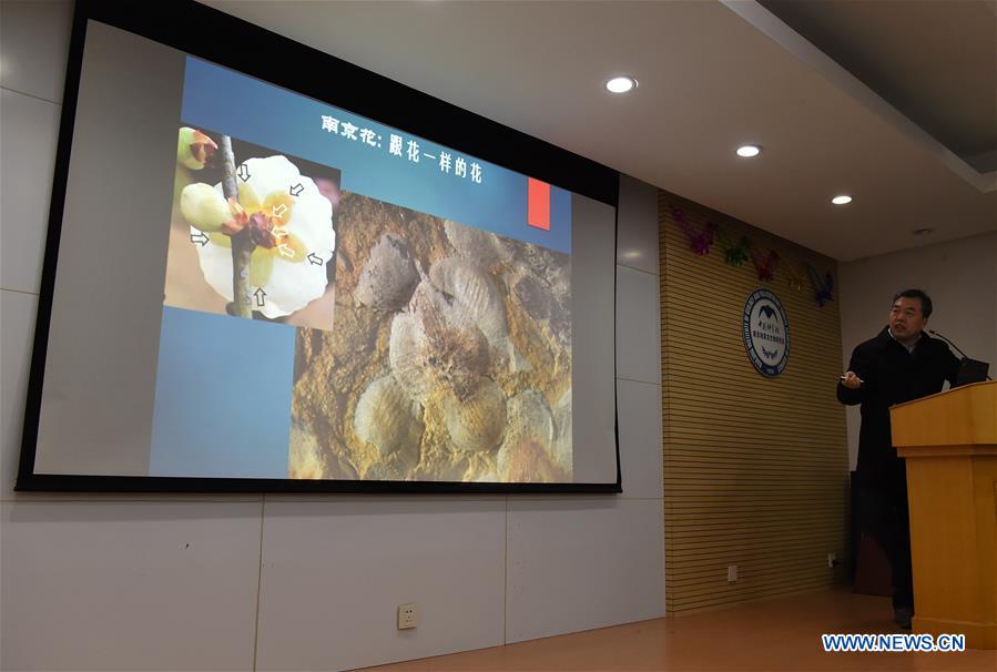 CHINA-NANJING-WORLD'S EARLIEST FOSSIL FLOWERS-RESEARCH ACHIEVEMENTS RELEASE (CN) 