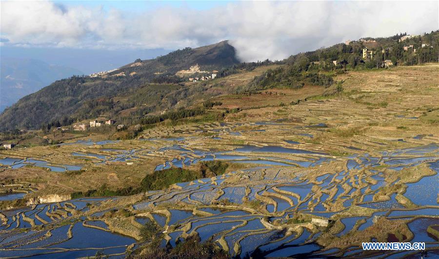 CHINA-YUNNAN-HANI TERRACED FIELDS-VIEWS (CN)