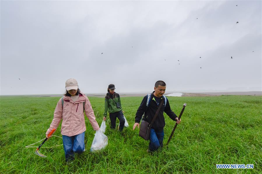 CHINA-HUNAN-DONGTING LAKE-ENVIROMENT PROTECTION