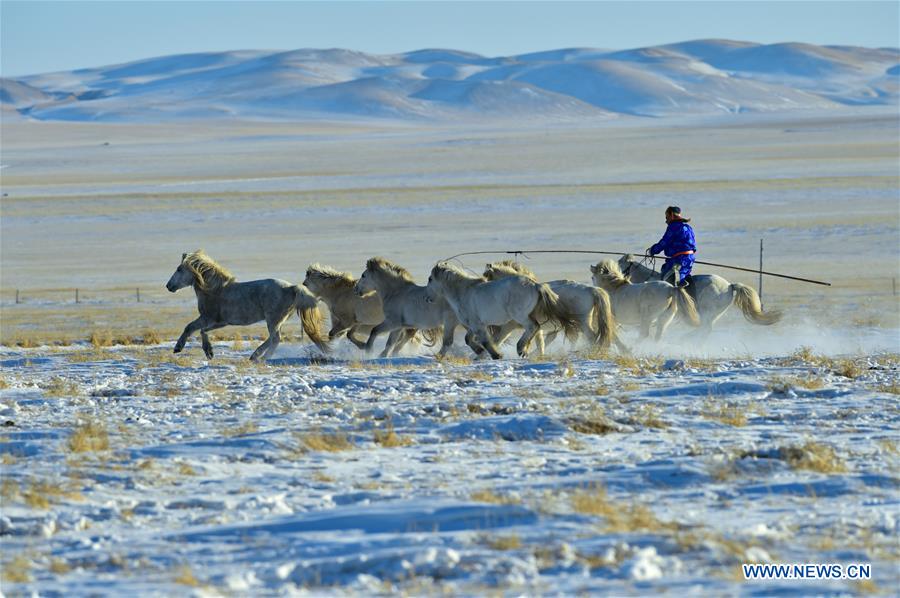 CHINA-INNER MONGOLIA-LASSOING (CN)