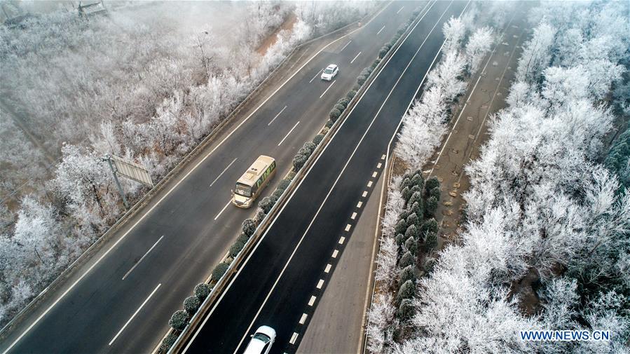 #CHINA-SHANXI-YUNCHENG-RIME SCENERY (CN)