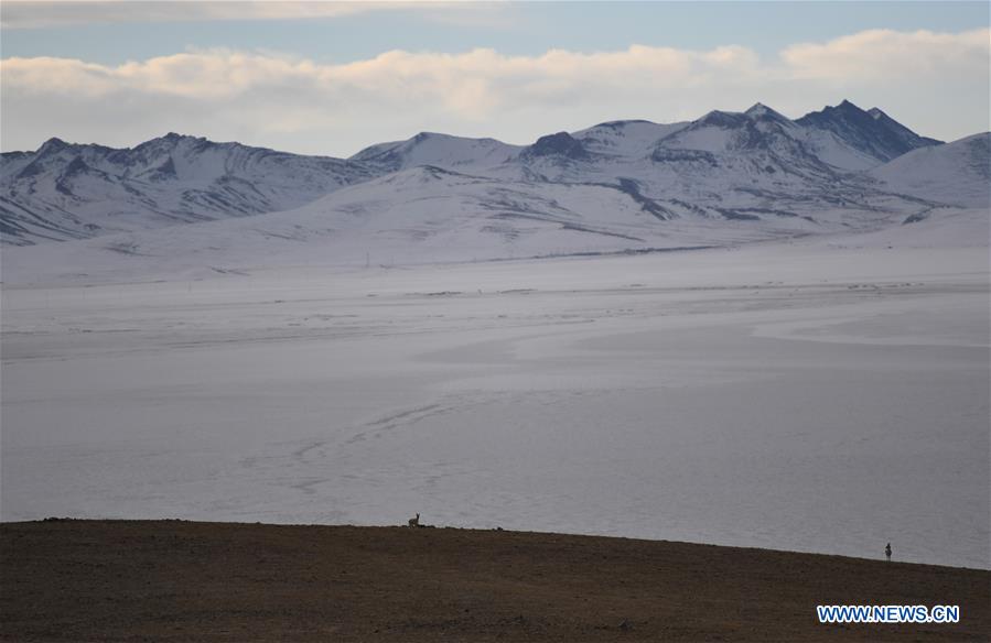 (InTibet) CHINA-TIBET-NAM CO (CN)