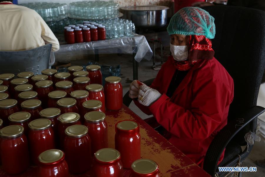 AFGHANISTAN-GHAZNI-TOMATO PASTE PLANT