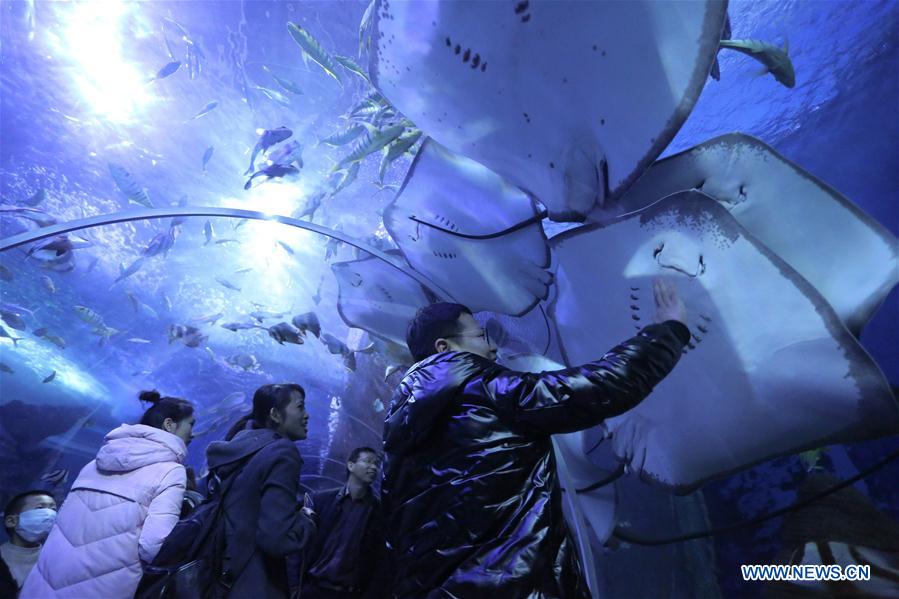 #CHINA-GUIZHOU-GUIYANG-OCEAN WORLD (CN)