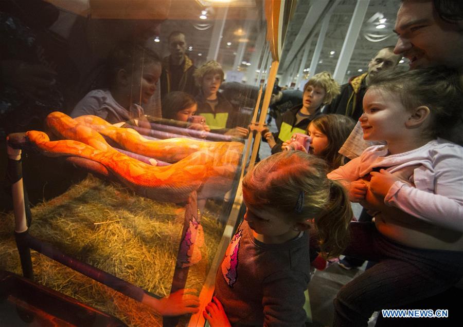 CANADA-TORONTO-WILDLIFE FESTIVAL