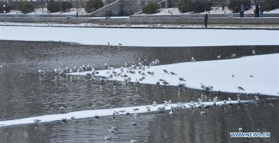 #CHINA-TIANJIN-SNOW (CN)